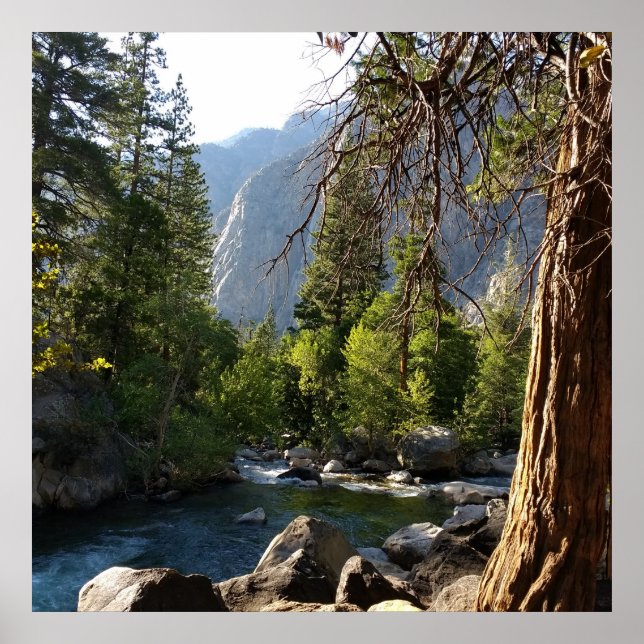 Poster with stream, forest and mountains (Front)