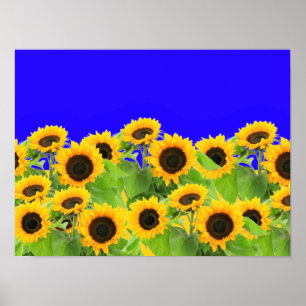 Poster with Sunflowers