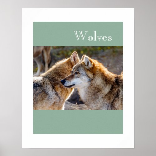 Poster_Wolves Poster