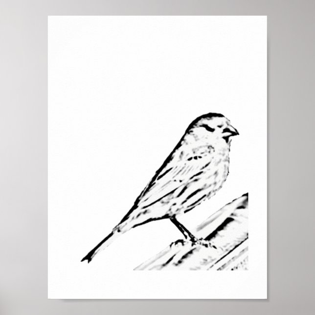 Poster - Wren to Color (Front)