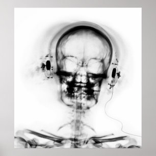 POSTER- X-RAY MUSIC SKELETON BLACK GREY B&W POSTER