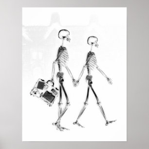 Poster - X-Ray Skeleton Couple Traveling Blk Wht