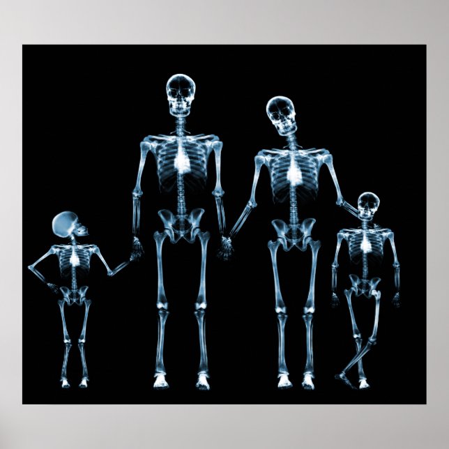 POSTER - X-RAY SKELETON FAMILY BLACK BLUE (Front)