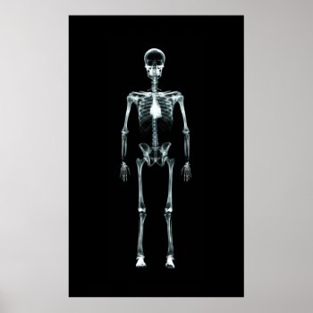 Poster - X-ray Vision Single Skeleton Original by VoXeeD at Zazzle