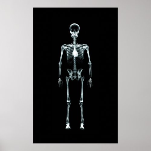 Poster _ X_Ray Vision Single Skeleton Original