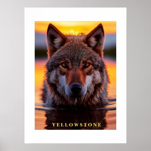 Poster Yellowstone Wolf