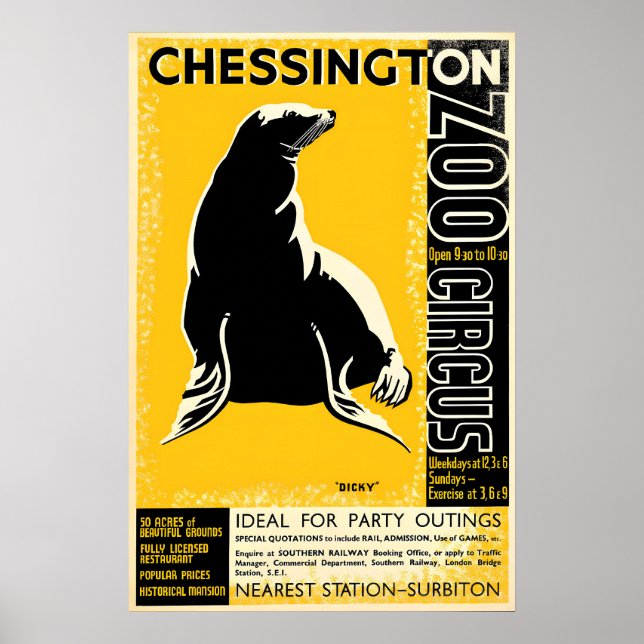 Poster Zoo Chessington (Seal) (Front)