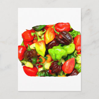 Posterized Hot Pepper Assortment Picture Postcard