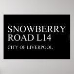SNOWBERRY ROaD  Posters