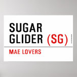 sugar glider  Posters