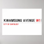 KwaMsunu Avenue  Posters