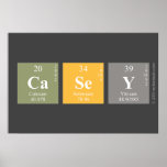 Casey  Posters
