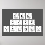 MEG
 NICKU
 AVENIDO  Posters