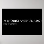 Mthobisi avenue  Posters