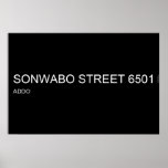 SONWABO STREET  Posters