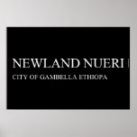 newland nueri  Posters