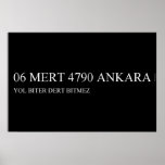 06 MERT 4790  Posters