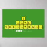 i
 love
 volleyball  Posters