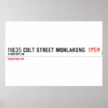 11835 Colt Street Mohlakeng   Posters