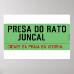 presa do rato     juncal  Posters