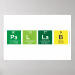 PAllab  Posters