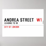 Andrea street   Posters
