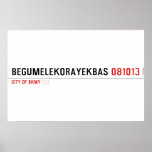 BEGUMELEKORAYEKBAS  Posters