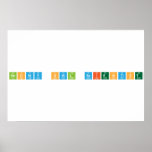 Snowy Owl Scientist  Posters