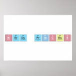 N|erdy princ|ess  Posters
