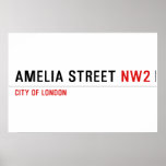 Amelia street  Posters