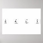 C A L Y  Posters
