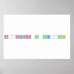 Néstor y Verónica   Posters