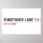 Kingfisher Lane  Posters
