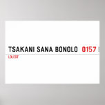 Tsakani Sana Bonolo   Posters
