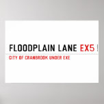 Floodplain lane  Posters