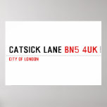 Catsick Lane  Posters