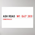 Ash road   Posters