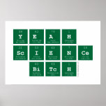 yeah
 science
  bitch  Posters