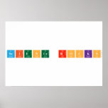 Science rocks  Posters