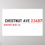  Chestnut Ave  Posters