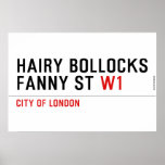 hairy bollocks fanny st  Posters