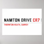 NAMTON DRIVE  Posters