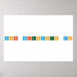 What Scientists Do  Posters