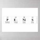 penis  Posters