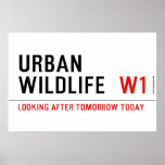 URBAN WILDLIFE   Posters