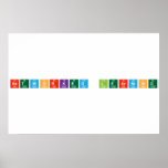 NetWorked Learning  Posters