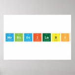 Mobi|Sci|Labs   Posters