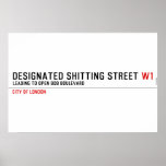 Designated Shitting Street  Posters
