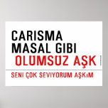 CaRiSMa  MaSaL GiBi   Posters