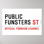 public funsters  Posters